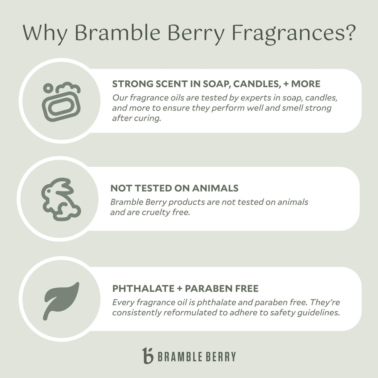 Bramble Berry Cashmere Fragrance Oil (2 Fl oz) | Great for Making Homemade Soap, Candles, Lotion, Bath Bombs, Skin & Body Care | Vegan, Phthalate & Paraben Free Bramble Berry