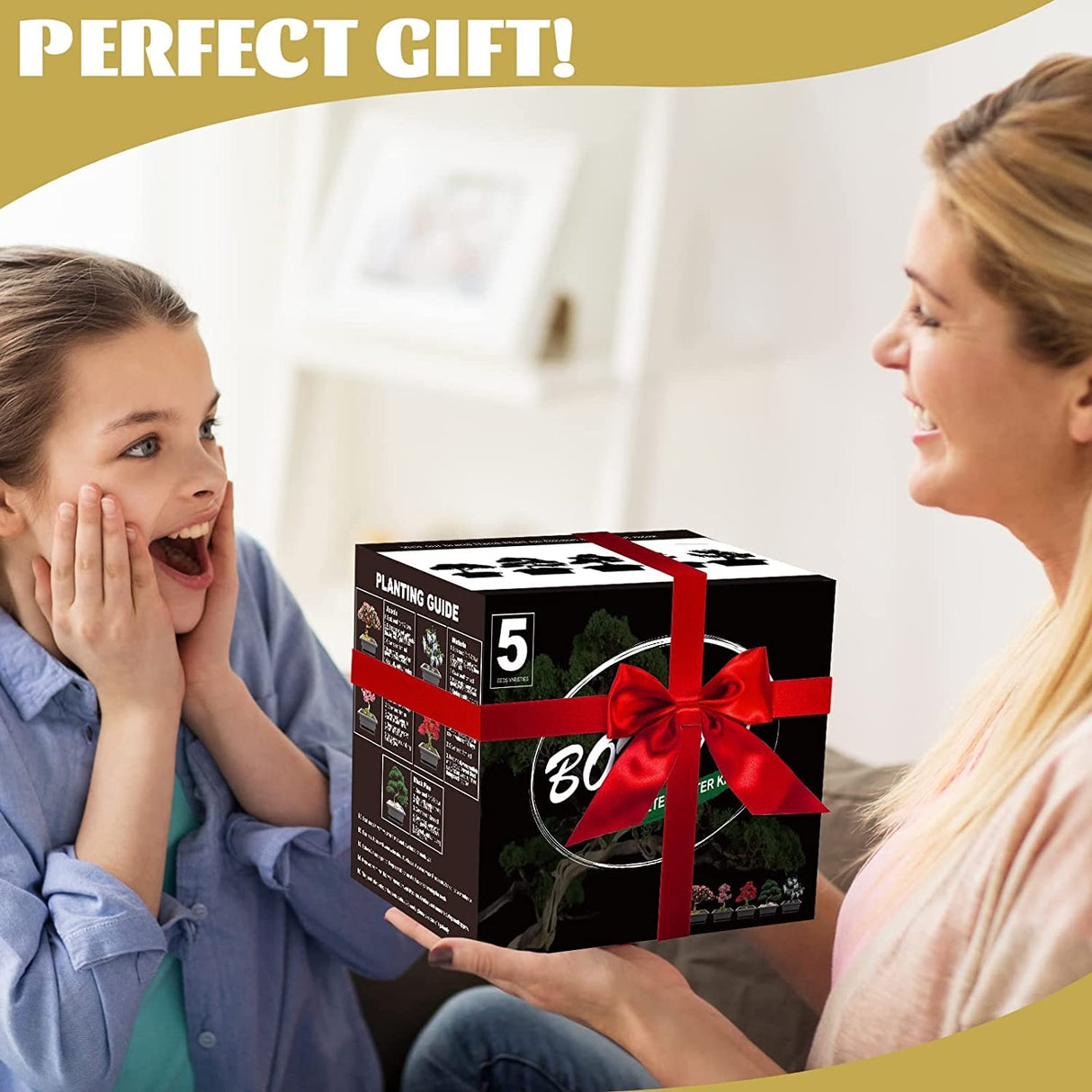 Meekear 5 Bonsai Tree Kit Complete Plant Growing Tools, Grow in Pot Indoor Bonsai Tree Starter Kit, Great Home Gardening Potted Plants DIY Gift for Adults Meekear