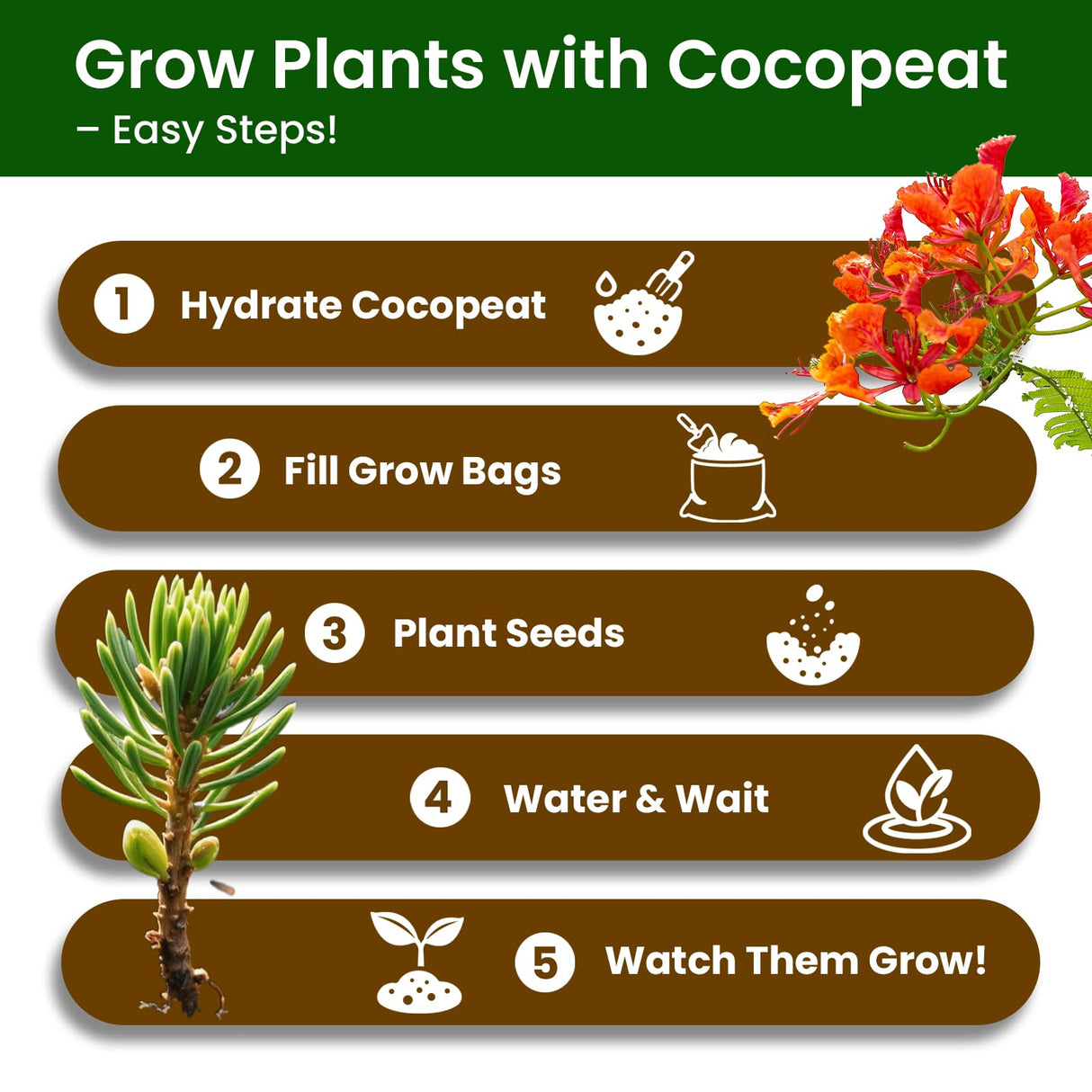 Bonsai Tree Kit – 5Pack Complete Indoor Starter Kit with 5 Unique Japanese Bonsai Trees, Tools & Planters – Perfect Gardening Gift for Women, Men, Plant Lovers – Great for Easter, Father’s Day PLANTMEW