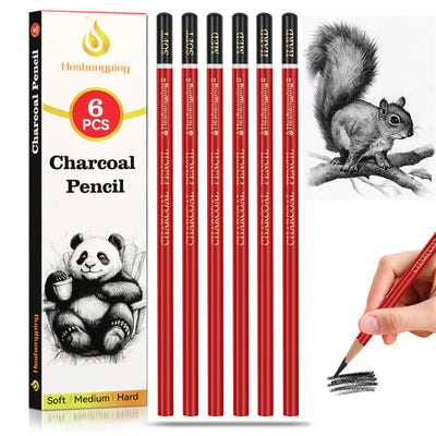Heshengping Professional Charcoal Pencils Drawing Set Sketching Kit -6 Pieces Soft, Medium Hard Charcoal Pencils for Drawing Sketching Shading Artist Pencils for Beginners Artists