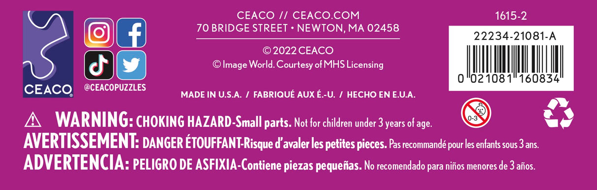 Ceaco - Cosmos - 100 Piece Jigsaw Puzzle Ceaco