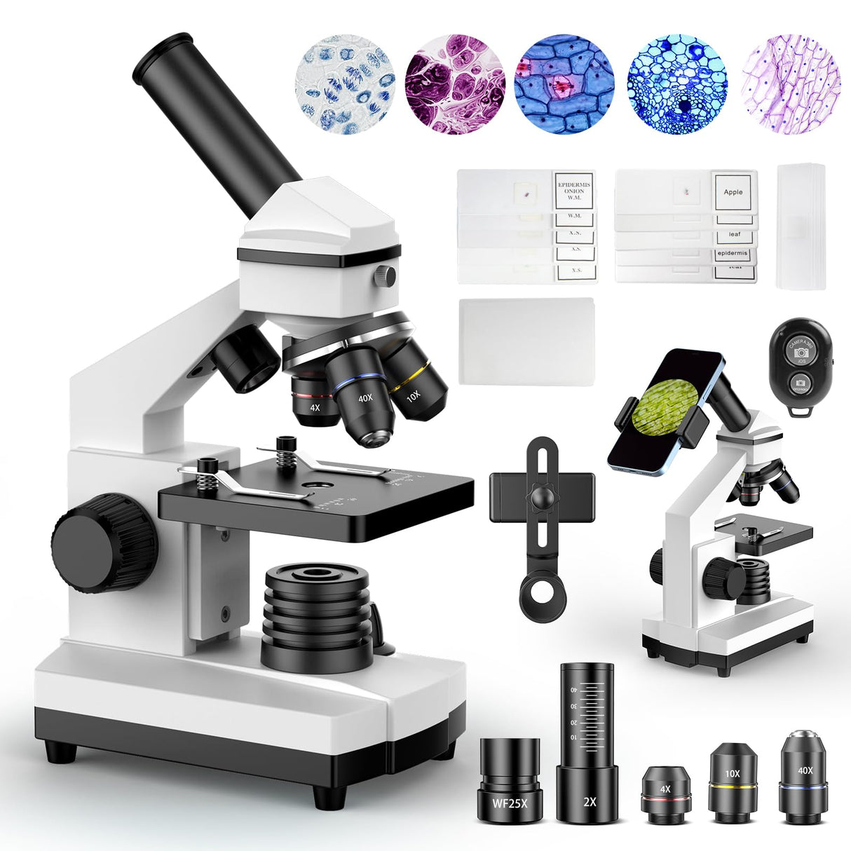 PalliPartners Compound Microscope for Adults & Kids - 100X-2000X High-Power Biological Microscope for Students, School Lab & Home Education, with Slides Set & Phone Adapter (White) PalliPartners