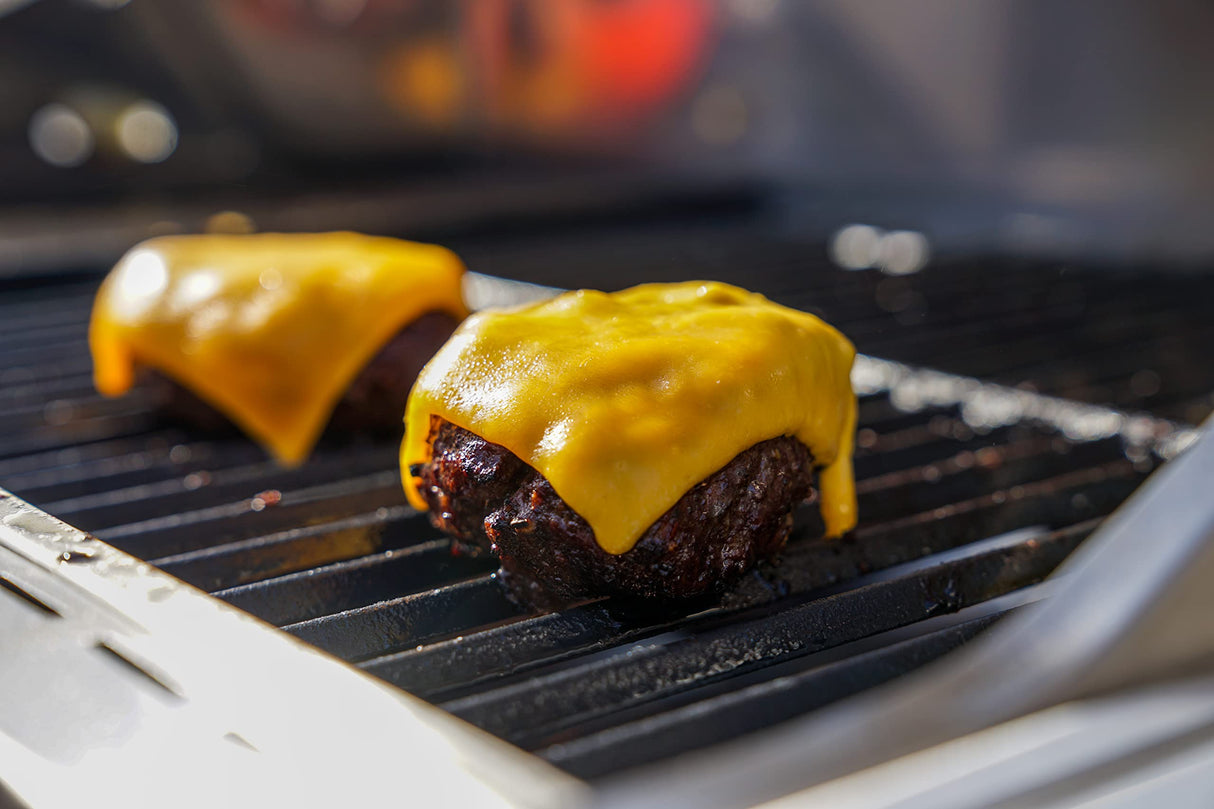 Monument Grills Larger Convertible 4-Burner Natural Gas Grill Stainless Steel Cabinet Style Propane Grills with Conversion Kit(2 Items) Monument Grills