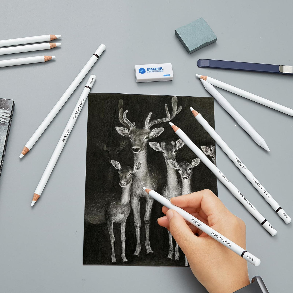 PANDAFLY White Charcoal Pencils Set, Professional 14 Piece Sketch Highlight Charcoal Pencils for Drawing, Sketching, Shading, Blending, White Chalk Pencils for Kid, Beginners & Pro Artists PANDAFLY