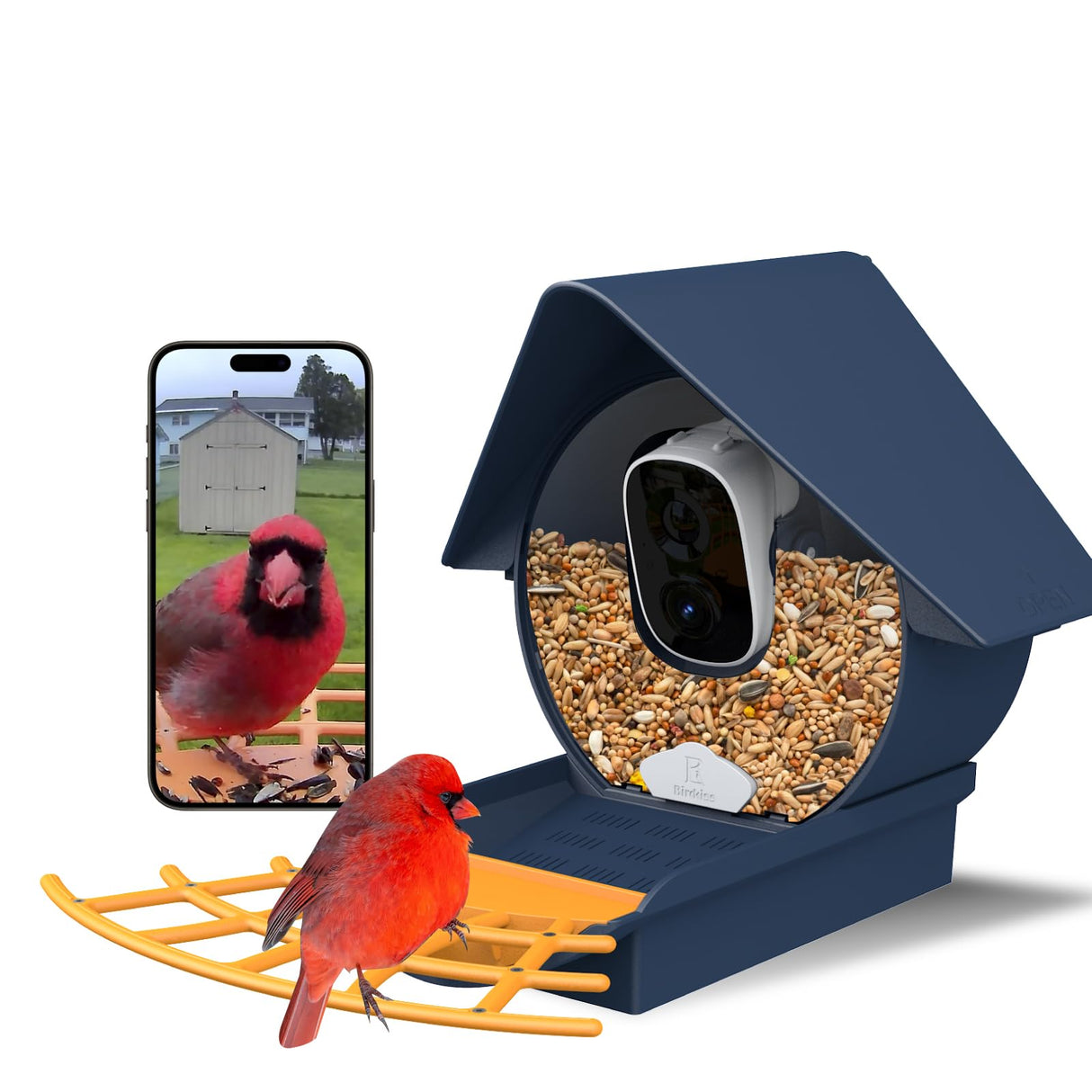 Birdkiss Smart Solar Feeder Camera: AI Identify WiFi Camera with Auto Bird Video Capture & Instant Notifications, Ideal Bird Lover Gift Birdkiss