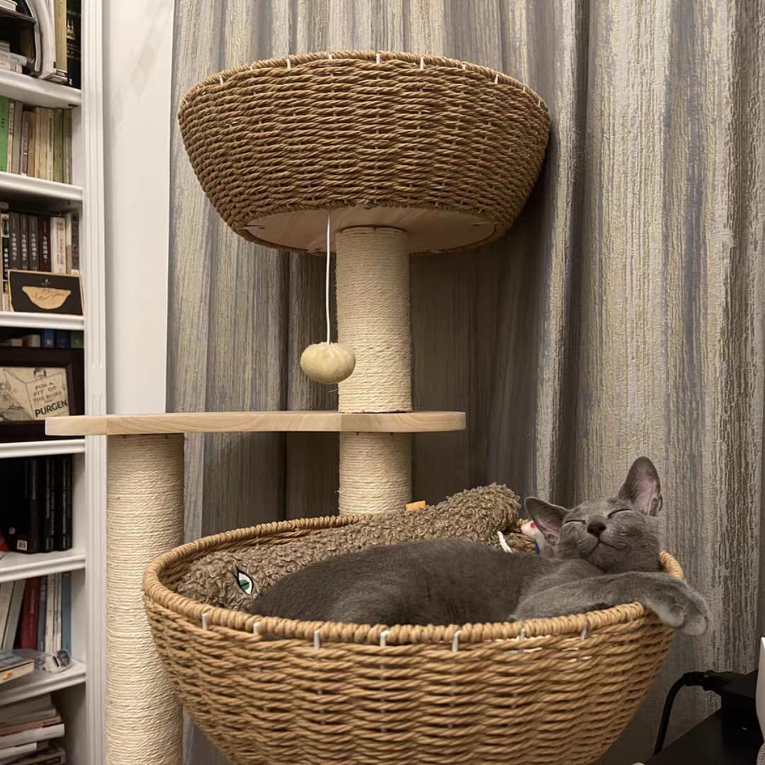 54" Modern Cat Tree for Large Cats, Wood Luxury Multi-Level Oak Solid Wood Cat Trees Cat Towers with 3 Rattan Weaving Cat Nests & Washable Cushions, Sisal Scratching Posts, for Indoor Cats-Lacquered MewJoyee