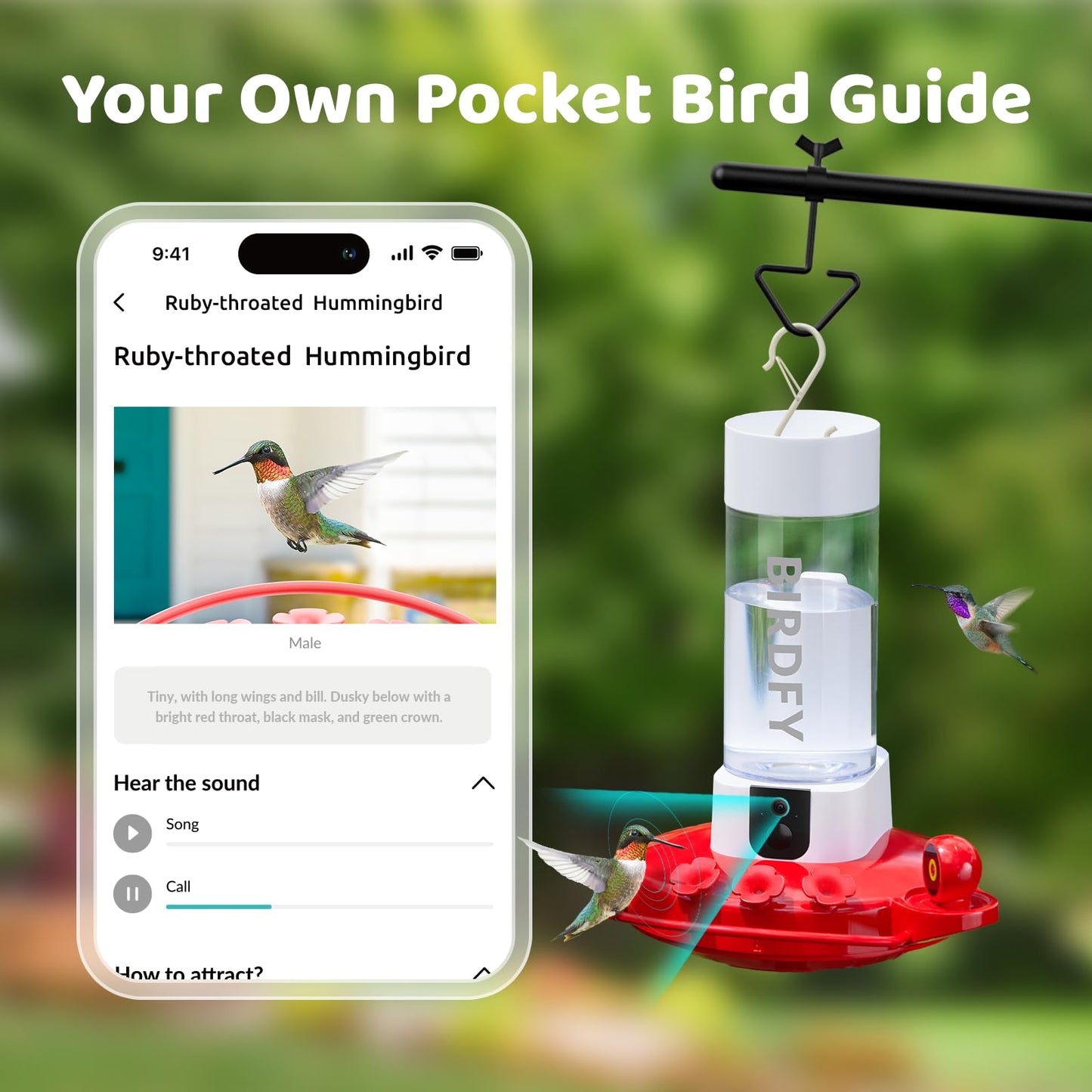 NETVUE Birdfy Hummingbird Feeder with Camera - 2K Dual Smart Cameras Solar Powered, Close-Up Bird Watching, Free AI Identify Hummingbird Species,Live