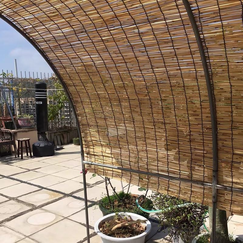 Reed Fencing Rolls for Balcony, Brown Bamboo Fence Reed Privacy Screen 1.6' 2' 3' 4' 5' 6' High Outdoor Patio Balcony Backyard Railing (Size : 3'H x16'L) YPINKZ