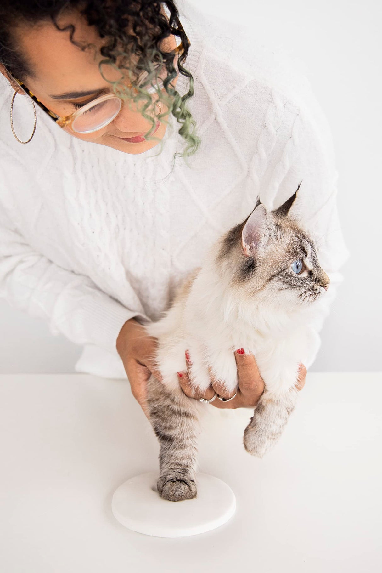 Pearhead Pawprints Collar Frame, Pet Keepsake Photo Frame, Clay Pawprint and Collar Frame, Pet Memorial Picture Frame Pearhead