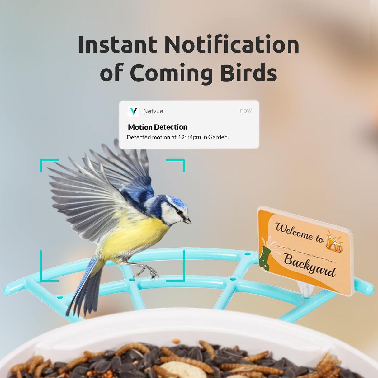 NETVUE Birdfy Pro - Bird Feeder with Camera, Wider Perch DIY Add-ons, Hummingbird Feeder, Suet Ball, Jelly Feeder, Auto Capture Bird Videos & Motion NETVUE