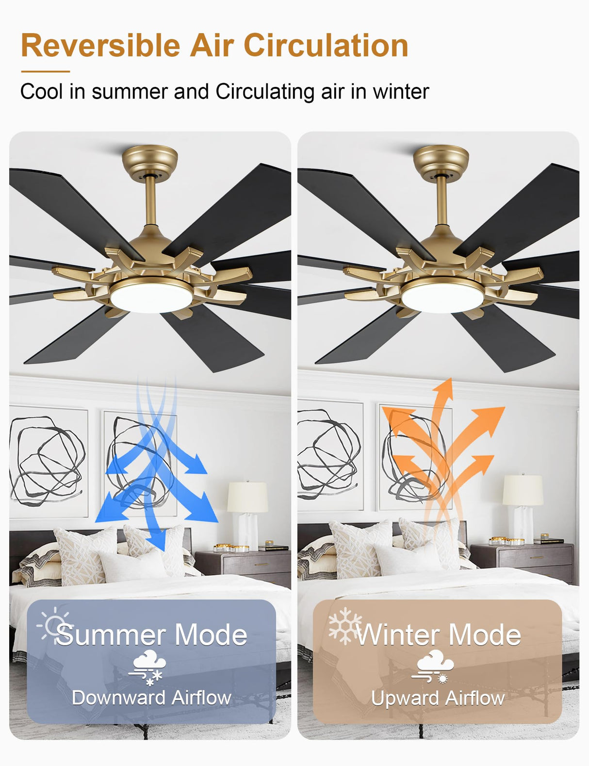 Curve Curio 60 Inch Ceiling Fans with Lights, Black and Gold Modern Ceiling Fan with Remote Control for Living Room Kitchen, 3 CCT, 6 Speed Reversible DC Motor Curve Curio