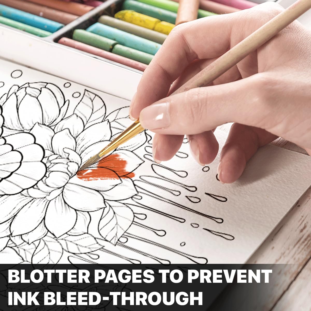 SOUTHERN LOTUS Butterflies And Flowers Spiral Coloring Book Wirebound Hardcovers Floral Design Aesthetic Illustrations Butterfly Relaxing Large Print Pages For Adults Relieve Stress Mindfulness SOUTHERN LOTUS