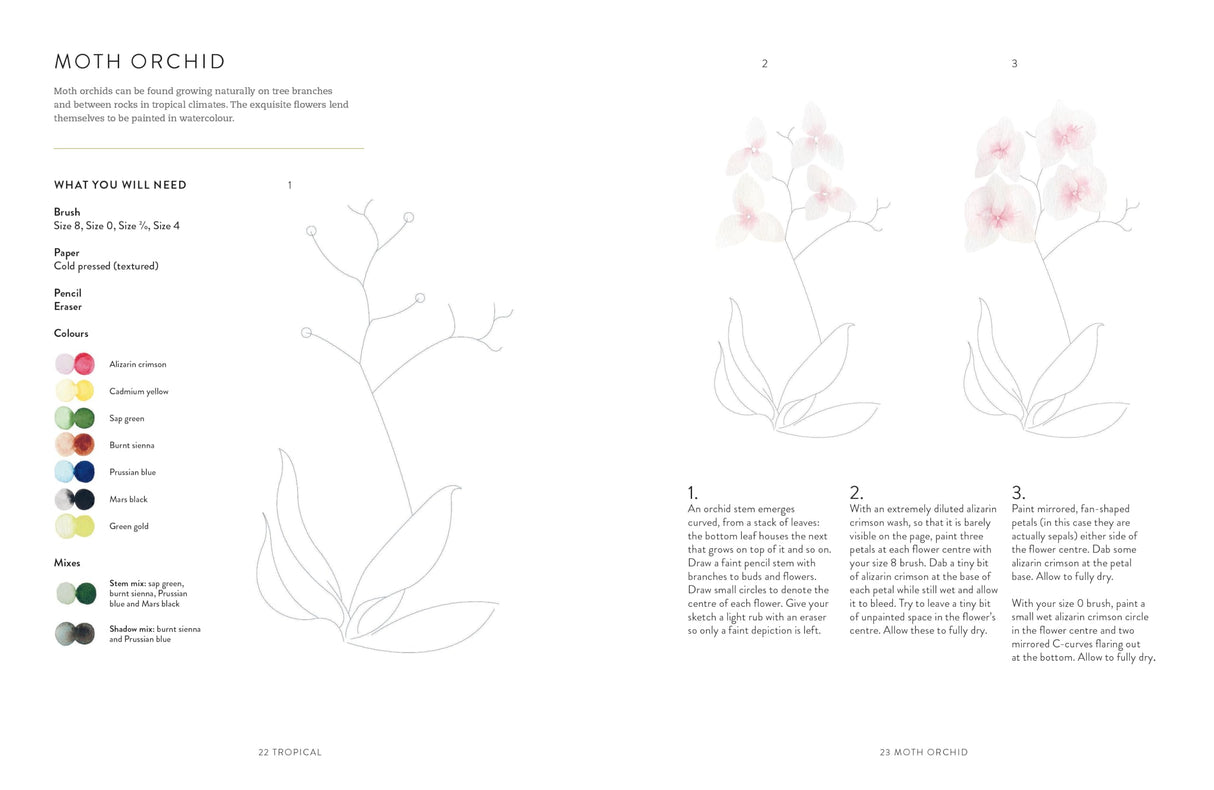 Birds, Bees & Blossoms: A Step-by-step Guide to Botanical and Animal Watercolour Painting Ilex Press