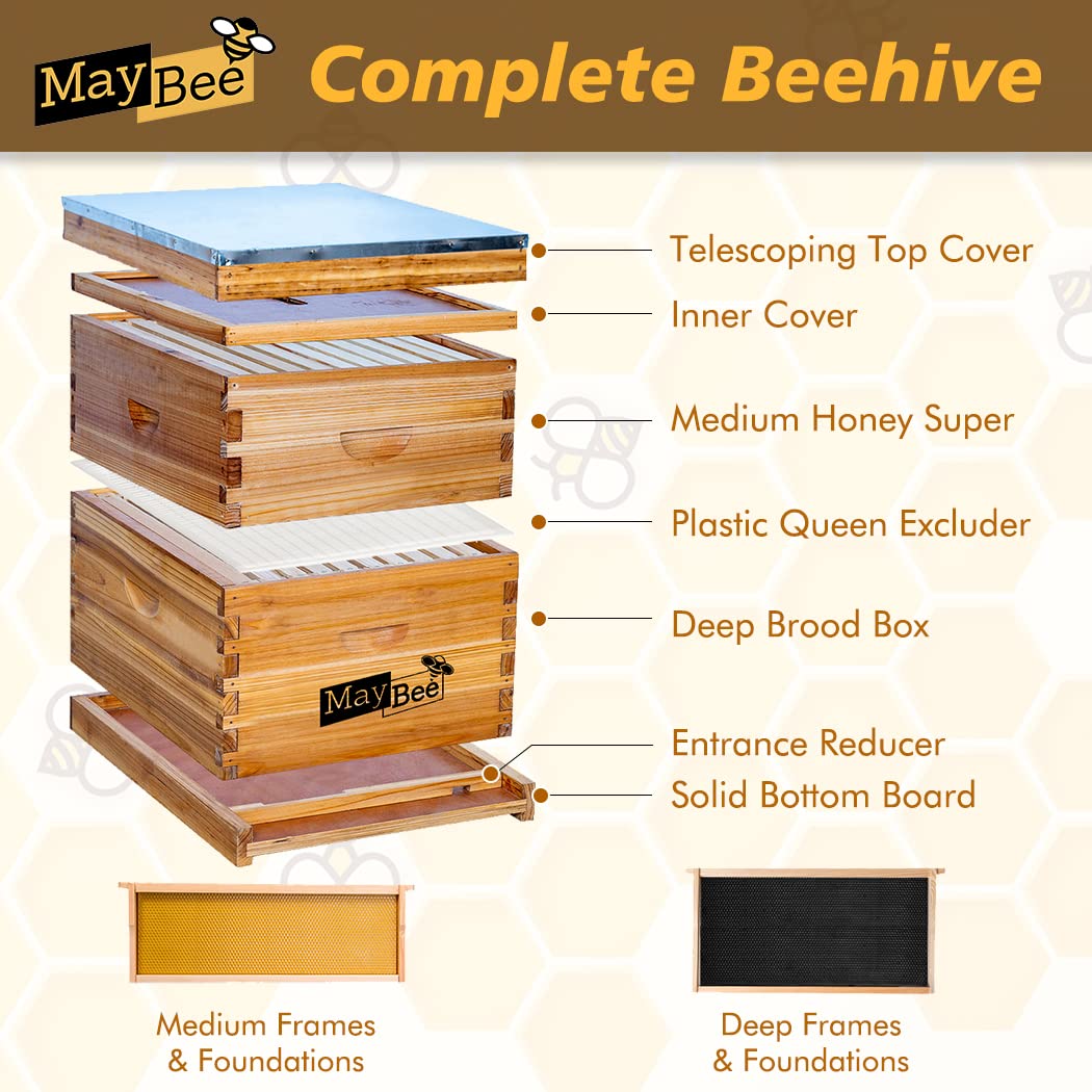 Bee Hive 10 Frame Bee Hives and Supplies Starter Kit, Bee Hive for Beginner, Honey Bee Hives Includes 1 Deep Bee Boxes, 1 Bee Hive Super with Beehive Frames and Foundation MayBee