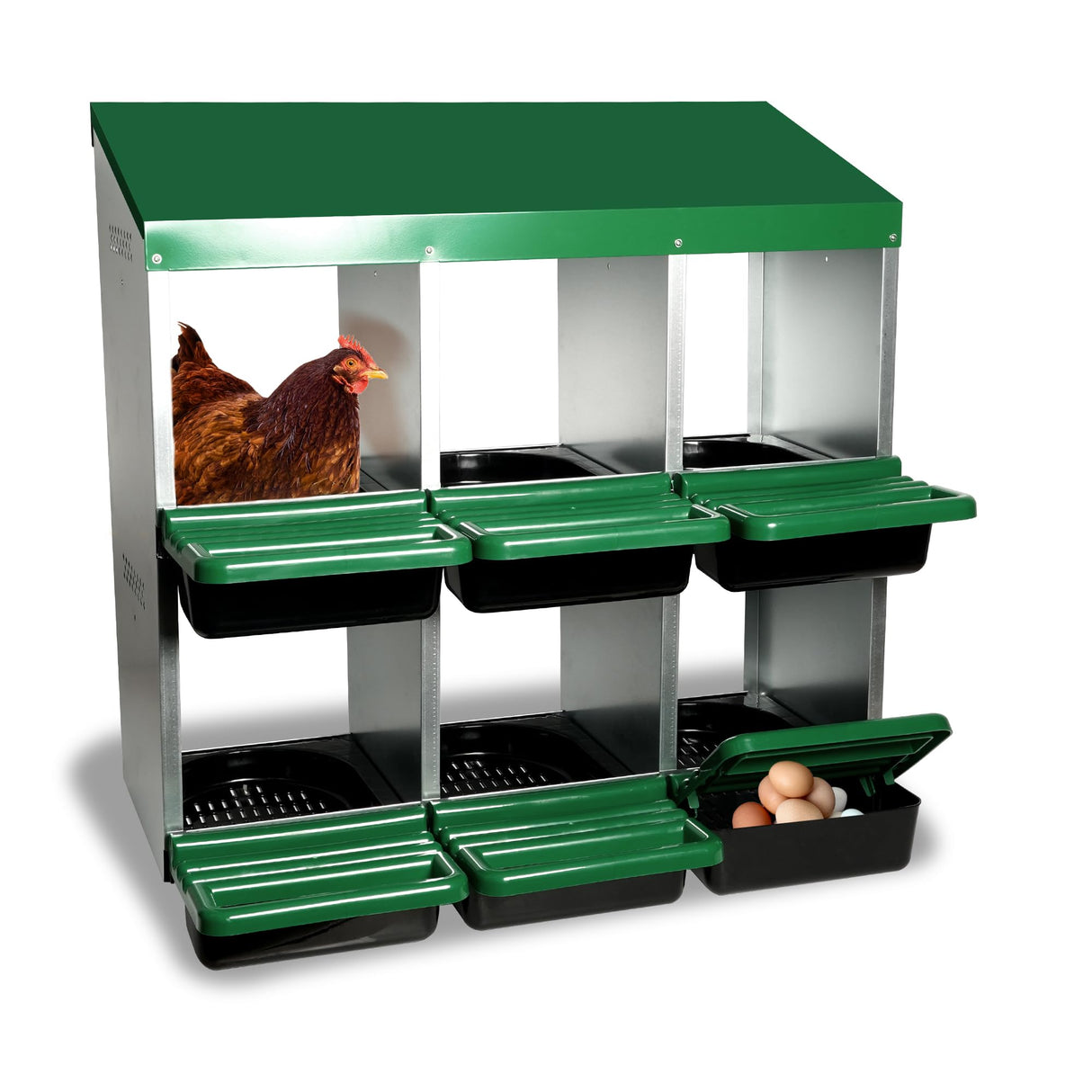 Eggluuz Chicken Nesting Box, 6 Compartments Chickens Egg Laying Nest Boxes for Hens Eggluuz