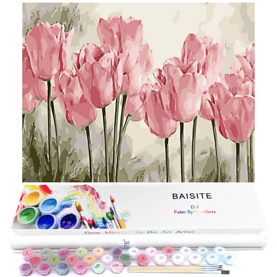 BAISITE Paint by Numbers Kit for Adults Beginners,20" Wx16 L Canvas for Painting Kits for Adults in Colorful Box Poppy Flowers-BSC002