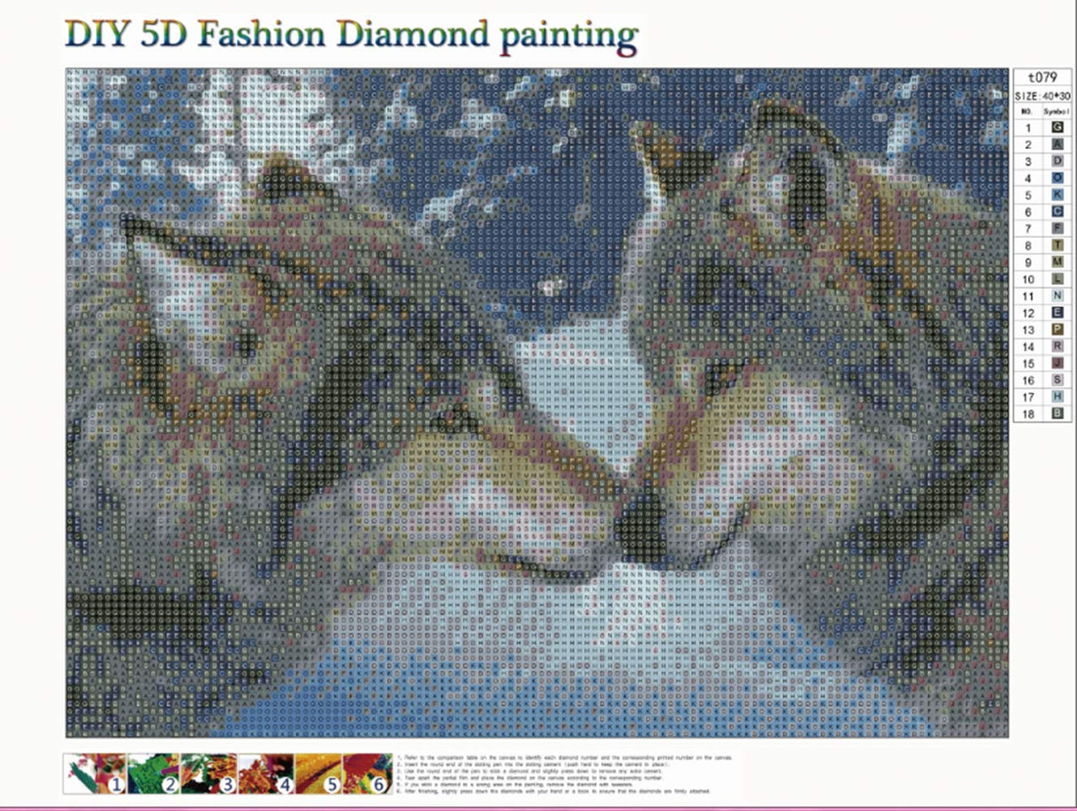 RICUVED Diamond Art Kits, Wolf Diamond Art Kits for Adults Full Drill Diamond Art Two Wolves Rhinestone Embroidery Arts Craft for Home Wall Decor 16x12 inch RICUVED