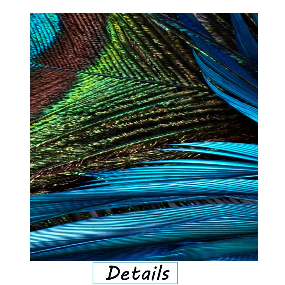 Wall Art for Living Room Bedroom Decoration Peacock Painting Canvas Print Framed Art Animal Feather Plume Modern Art for Office Wall Décor Teal Blue Green 5 Panels Large Size CANVASZON