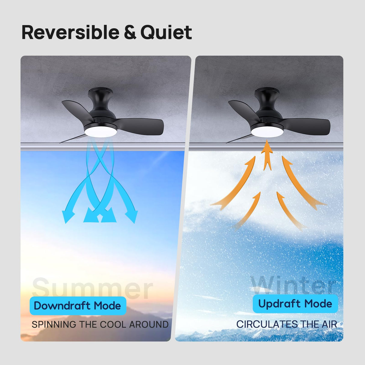 Consciot Ceiling Fan, 30 Inch Ceiling Fan With Lights Remote Control, Black Low Profile Modern Ceiling Fan, Flush Mount, Reversible Quiet DC Motor, 6 Speed, Dimmable, Kitchen Bedroom Patio Damp Rated Consciot