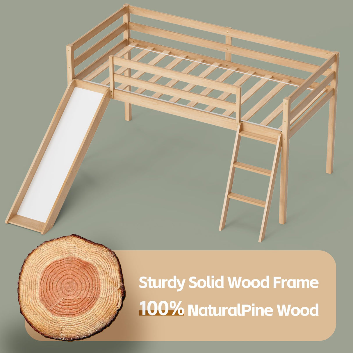 TOLEAD Twin Low Loft Bed with Interchangeable Slide and Ladder for Kids TOLEAD