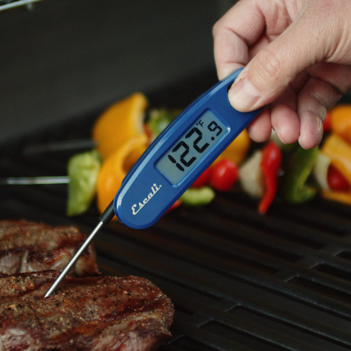 Escali Compact Portable Meat Candy Folding Digital Thermometer, Backlit Display Easy to Storage with Magnet, Black Escali