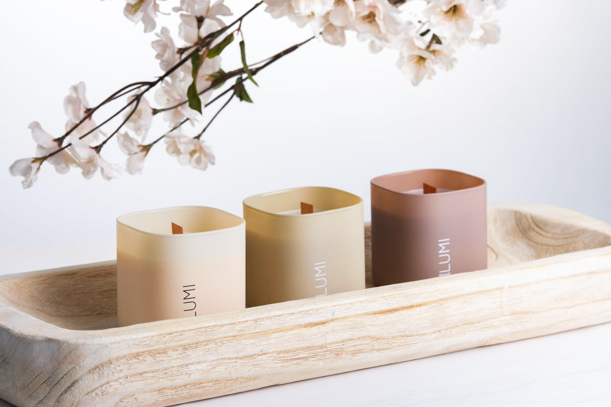 Set of 3 Scented Soy Candles Gift Set | Nature's Bloom Collection | 3 Scented Candles - Gardenia, Hilton Garden, and Rose & Oud | Crackling Wood Wick | Clean Burn | 50+HR Burn Time, 9.8oz Each Lumi Brand