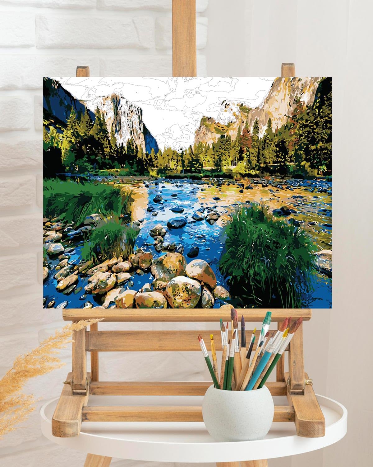 TOCARE Paint by Numbers Kit for Adults Yosemite National Park,Adult Paint by Number Canvas Yosemite,Adult's Paint-by-Number Kits Nature Scenery 16x20inch TOCARE