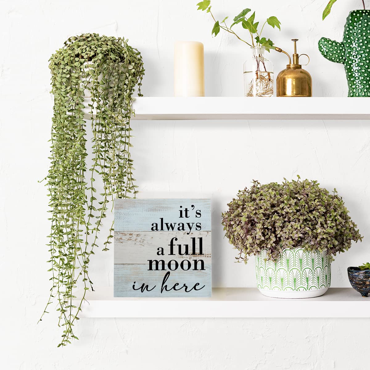 Funny Bathroom Sign Bathroom Decor Desk Decor Wooden Box Sign Rustic Wood Block Plaque Box Sign for Home Farmhouse Office Restroom Toilet Shelf Table Decoration It's Always a Full Moon in Here Sign HTBIG