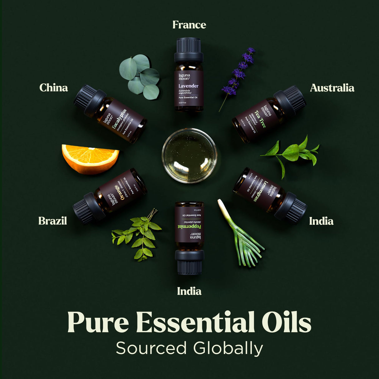 Essential Oils Set - Top 6 Blends for Diffusers, Home Care, Candle Making Scents, Fragrance, Aromatherapy, Humidifiers, Gifts - Peppermint, Tea Tree, Lavender, Eucalyptus, Lemongrass, Orange (10mL) Lagunamoon