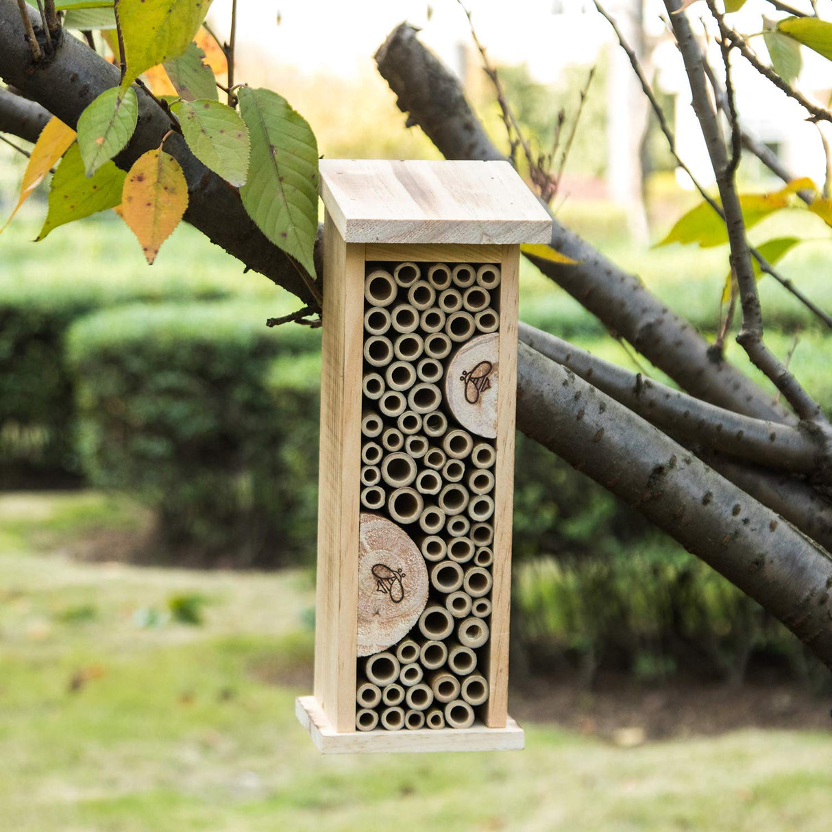 Bird House Bee Hive Wooden Insects House Hanging Bamboo Insect Hotels for Outdoor Garden Decorative Topadorn