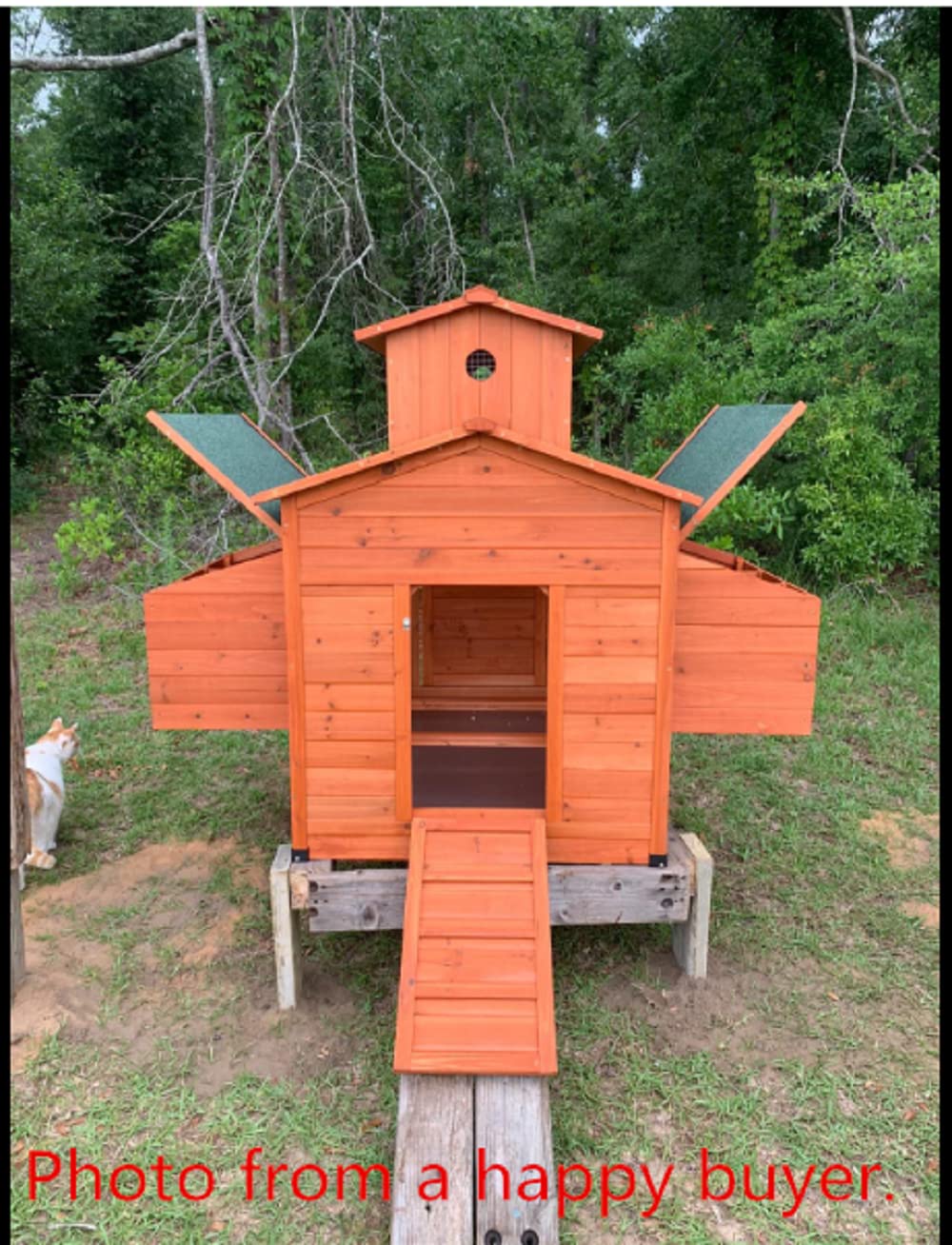 Omitree Deluxe Large Wood Chicken Coop Backyard Hen House 6-10 Chickens with 6 Nesting Box Omitree