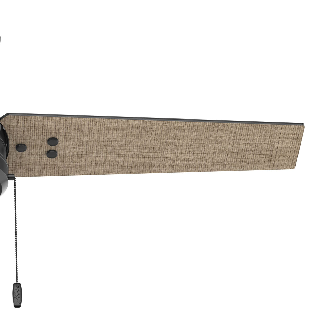 HUNTER 50260 Cassius Outdoor Ceiling Fan with Pull Chain, 44", Matte Black Finish Hunter