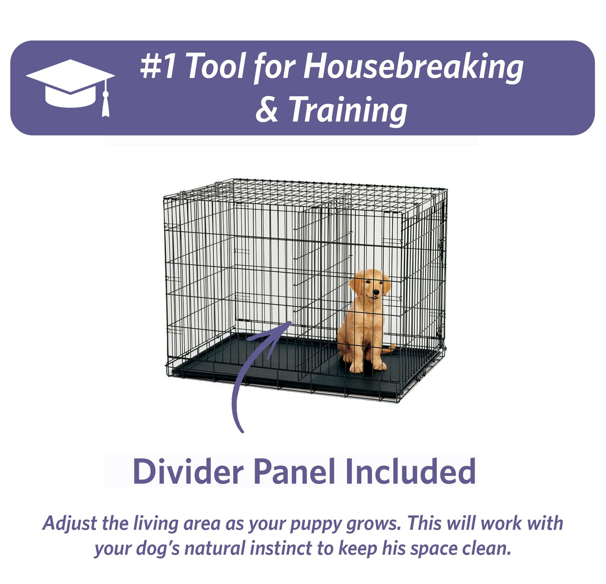 MidWest Homes for Pets Newly Enhanced Single Door iCrate Dog Crate, Includes Leak-Proof Pan, Floor Protecting Feet, Divider Panel & New Patented Features MidWest Homes for Pets