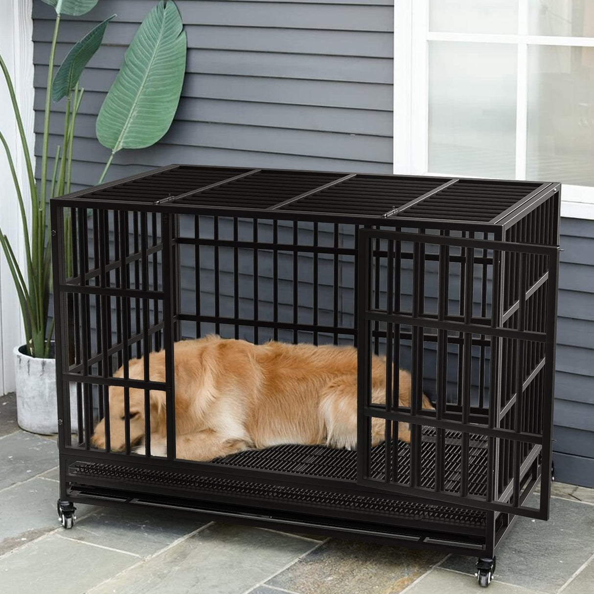 LEMBERI 48/38 inch Heavy Duty Indestructible Dog Crate, Escape Proof Dog Cage Kennel with Lockable Wheels,High Anxiety Double Door,Extra Large Crate Indoor for Large Dog with Removable Tray LEMBERI