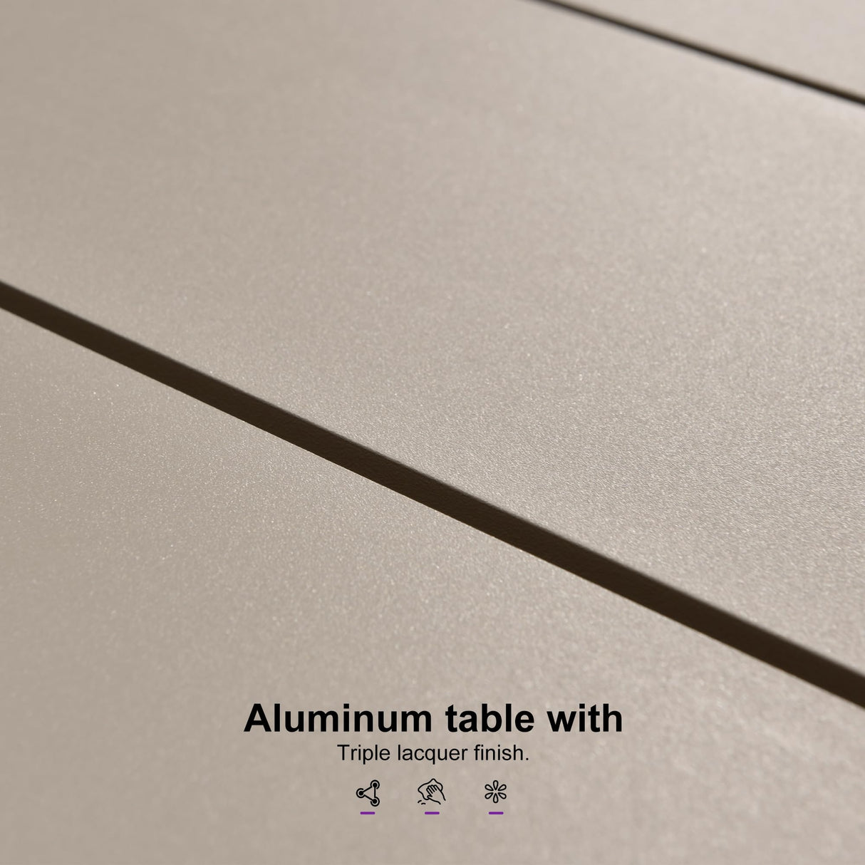 PURPLE LEAF Patio Dining Set for 10 All-Weather Wicker 11 Piece Aluminium Outdoor Table and Chairs Set Included Cushions for Backyard Indoor Decor Kitchen Modern Outdoor Furniture Set Champagne PURPLE LEAF