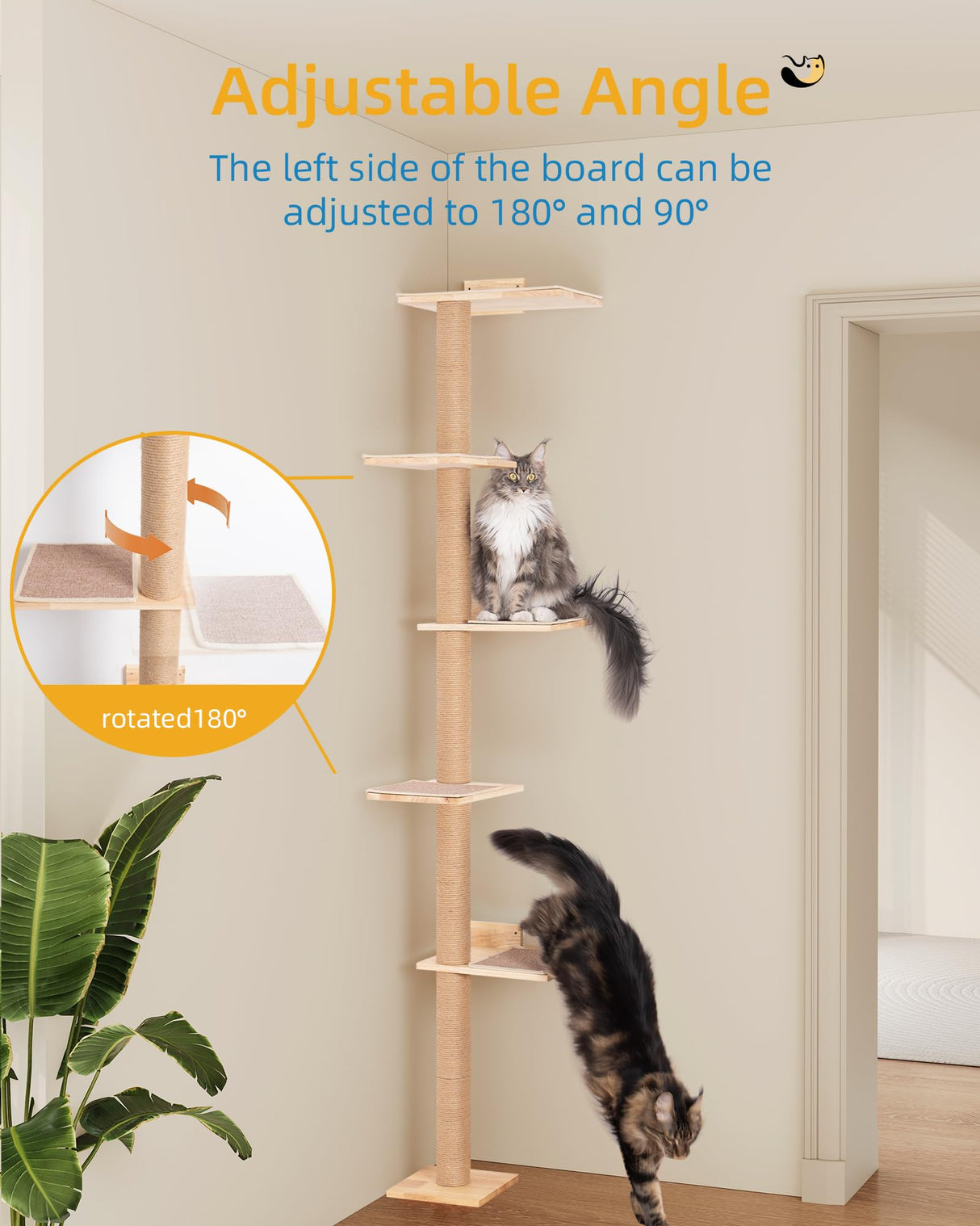 Aechonow 80.3inch Floor to Ceiling Cat Tower on Wall with 5 Mats, Tall Cat Tree for Large Adult Cats, Jute Scratch Post, Large Wooden Perch Stairs Wall Shelves Aechonow