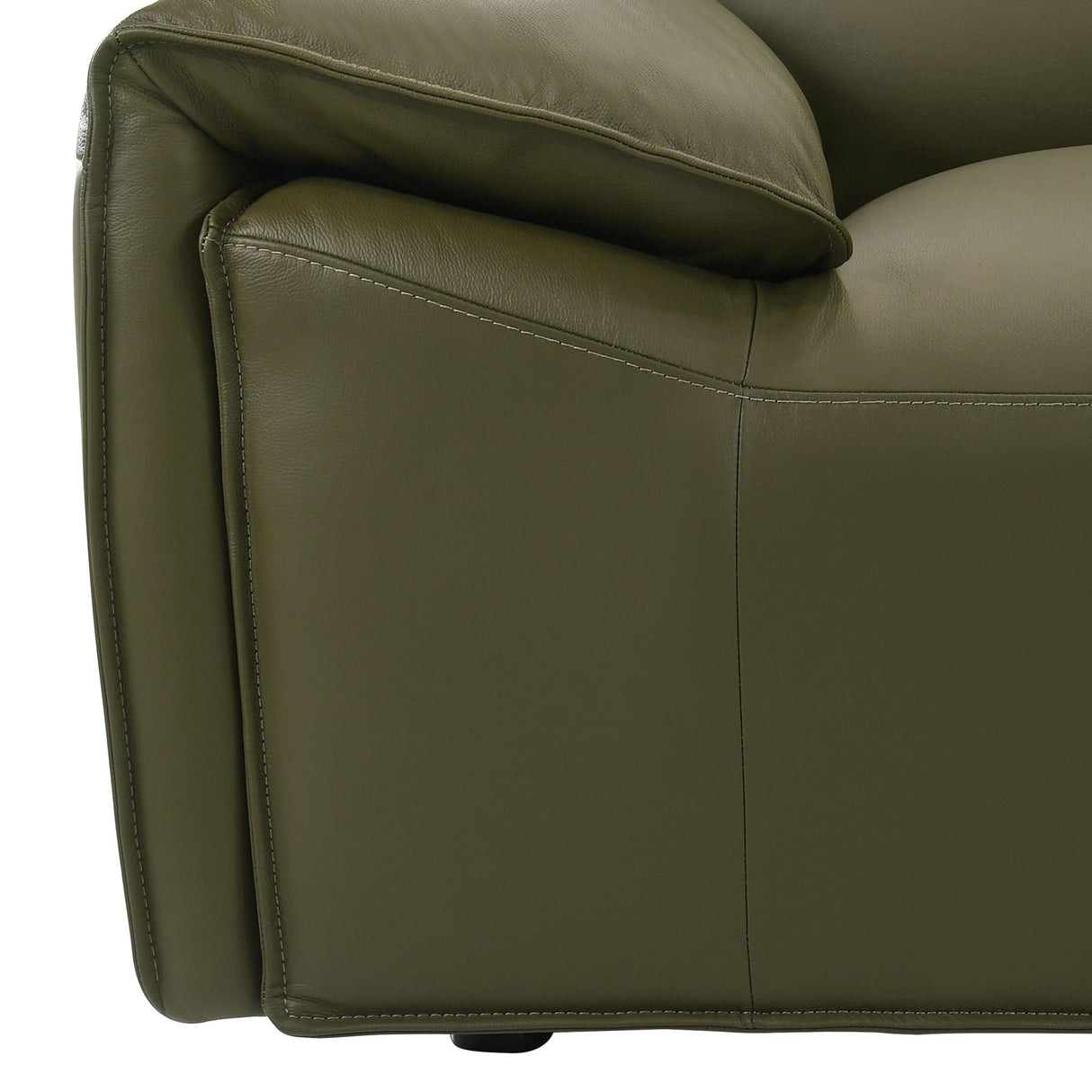 Tanner 74 in. Leather Loveseat with Padded Arms in Green or Khaki Armen Living