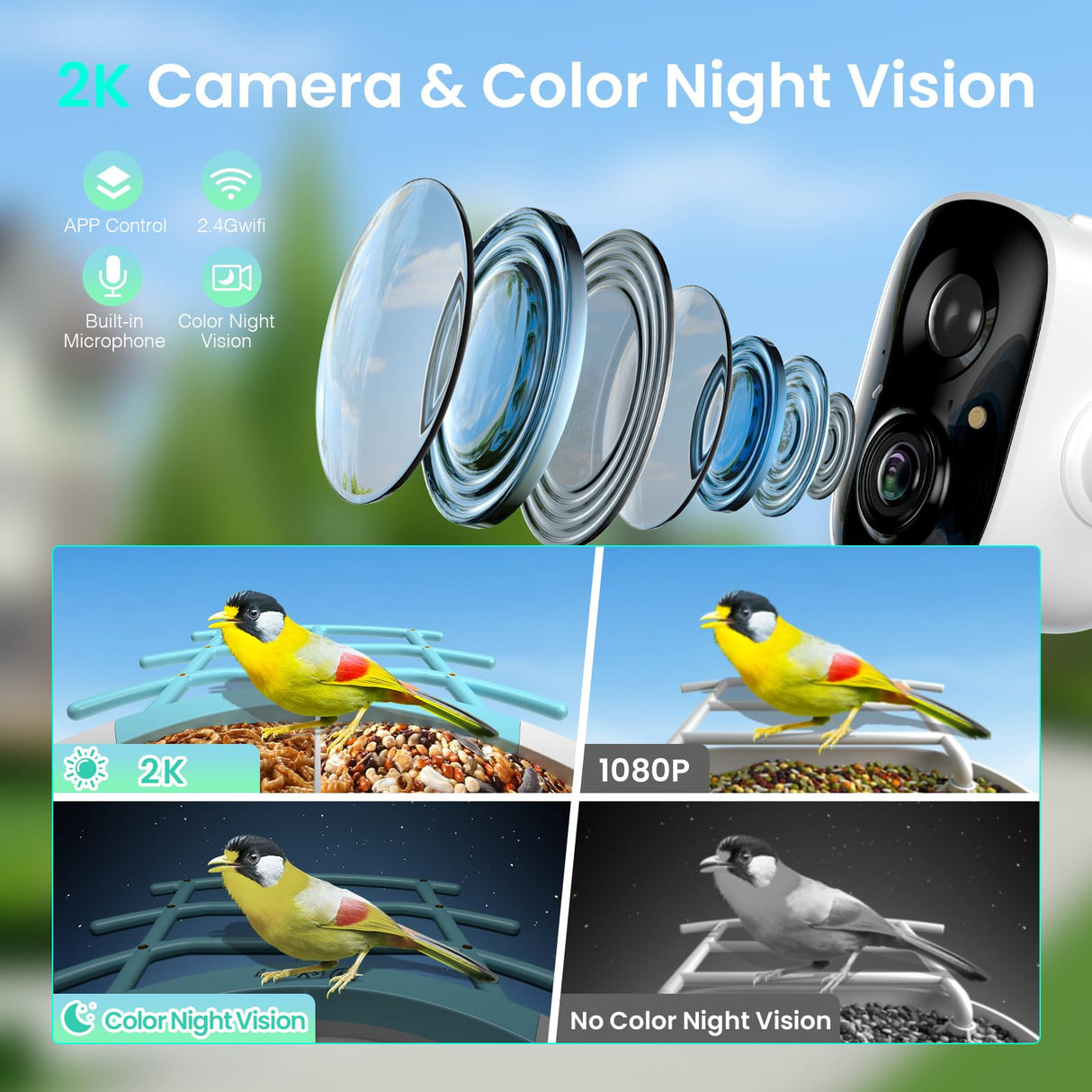 isYoung Birdlook® Smart Bird Feeder with Camera,2K HD Dual Granary Bird Feeder Camera, AI Auto-Capture & Motion Detection, 5W Solar, 170° View, AI Identify 16000+ Birds,Ideal Gift for Bird Lovers. isYoung