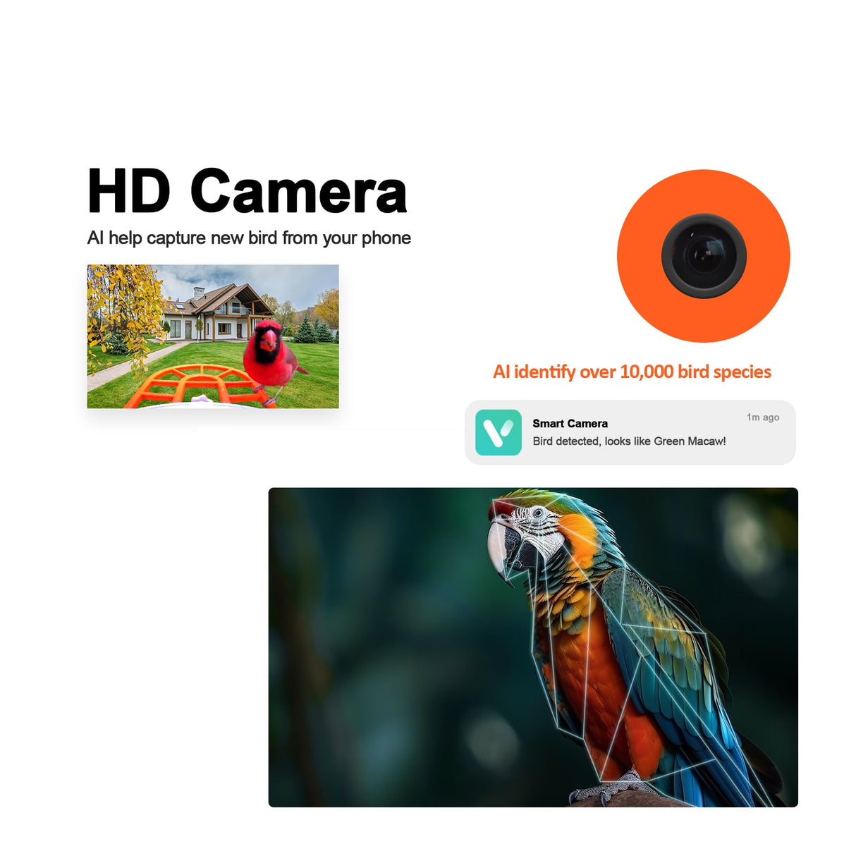 Smart Bird Feeder with Camera Solar Powered, AI Recognition,Auto-Record HD Bird Feeder Camera for Bird Watching TYSTDIRCT