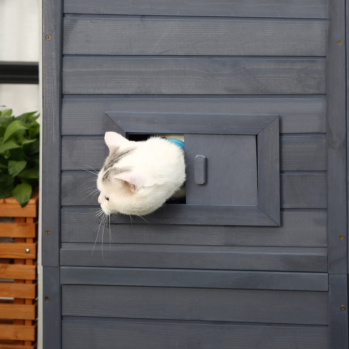 PawHut Outdoor Cat House, Catio Wooden Feral Cat Shelter, Cat Cage with Platforms, Weather Protection Asphalt Roof, Ramps, 77" L PawHut