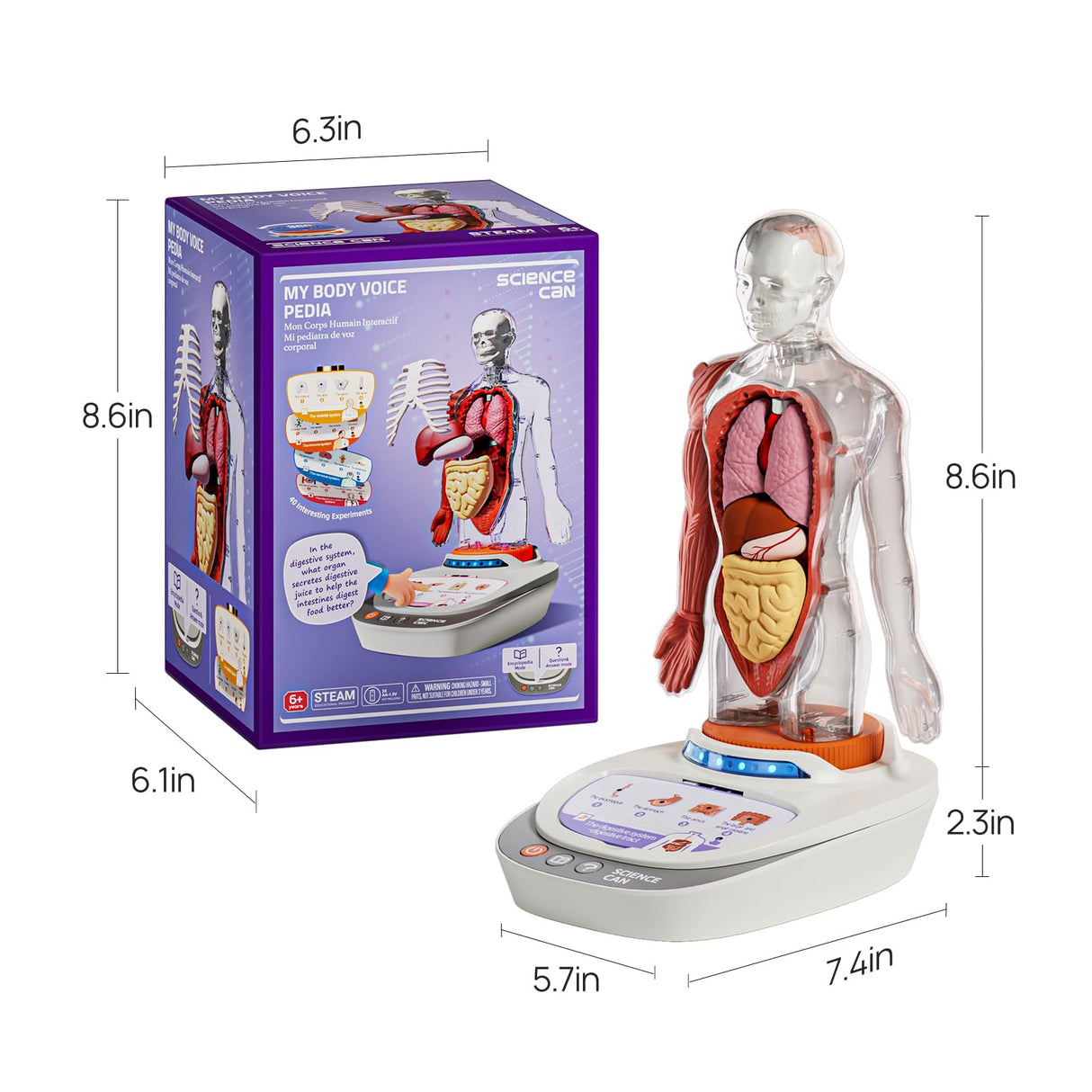 Science Can Human Body Model for Kids, Interactive Human Anatomy Talking Model - 11 Inch Realistic Anatomical Assembly Kit 15PCS Removable Parts and Guide STEM Educational Toys for Kids Aged 6+ Gifts Science Can
