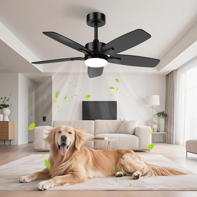 Hisummer 42 Inch Ceiling Fan with Light and Remote, Small Modern Black Ceiling Fans, 5-Blade Indoor/Outdoor Farmhouse Ceiling Fan with Lights for Bedroom, Living Room, Patio