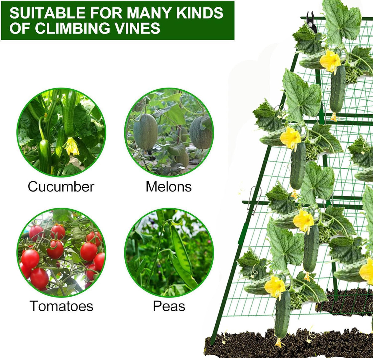 Cucumber Trellis Garden Trellis Arch Trellis, Tall Metal Trellis for Climbing Plants Support Vegetable Peas Fruit Vine Outdoor A-Frame Trellis (Green) 7Queen