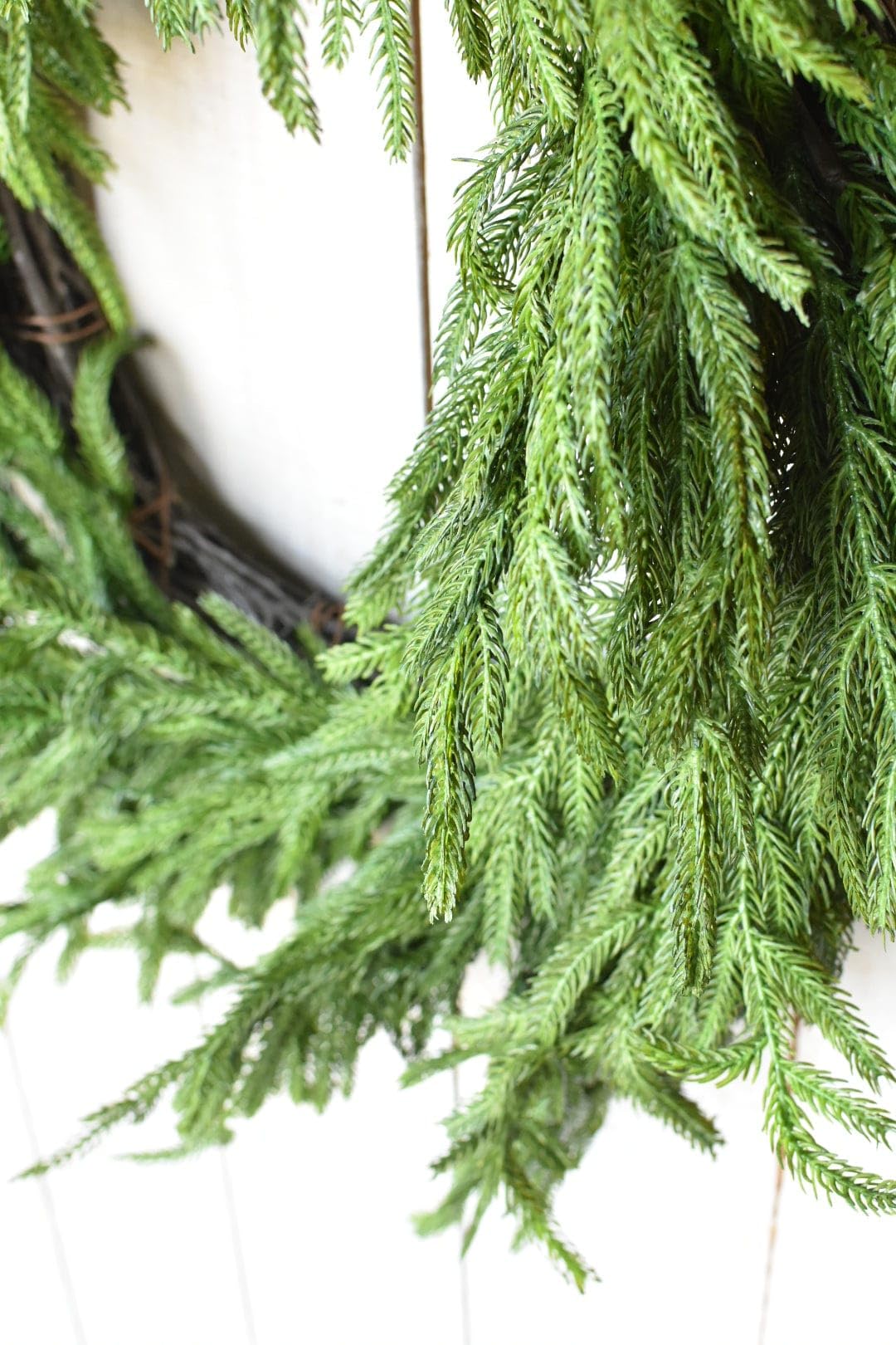 Afloral Real Touch Norfolk Pine Wreath - 24" Afloral