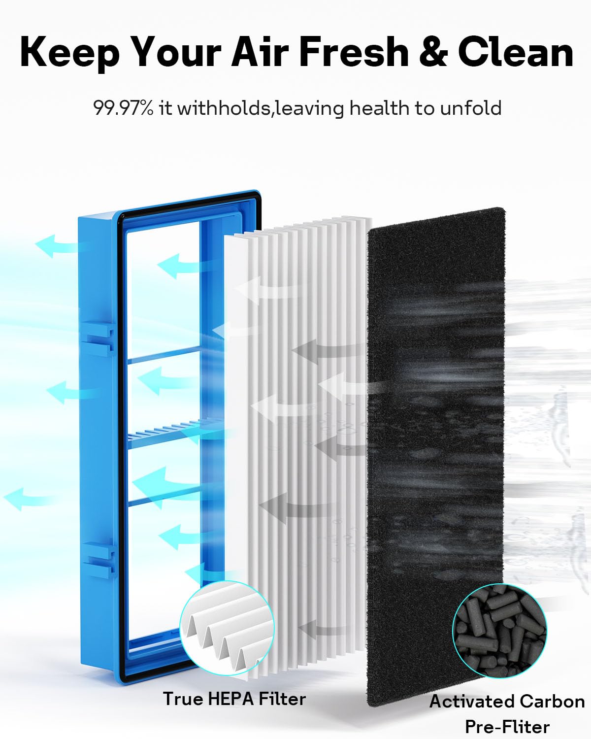 Aer1 Filter Replacement for Holmes Air Purifiers, 2 True HEPA Filters + 4 Carbon Booster Filters, HAPF30AT Leemone