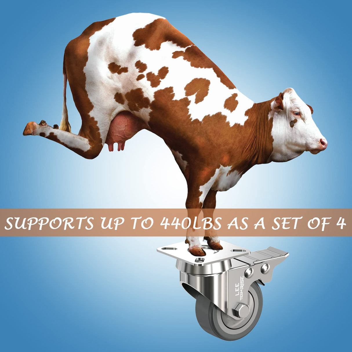 2" Caster Wheels Set of 4 Heavy Duty Plate Casters with Brake 2 inch Dual Locking Castors and No Noise TPR Rubber Wheel No Floor Marks Silent Castor Swivel for Furniture 4 Pack up 440Lbs, Free Screws LEE TEAM RISE