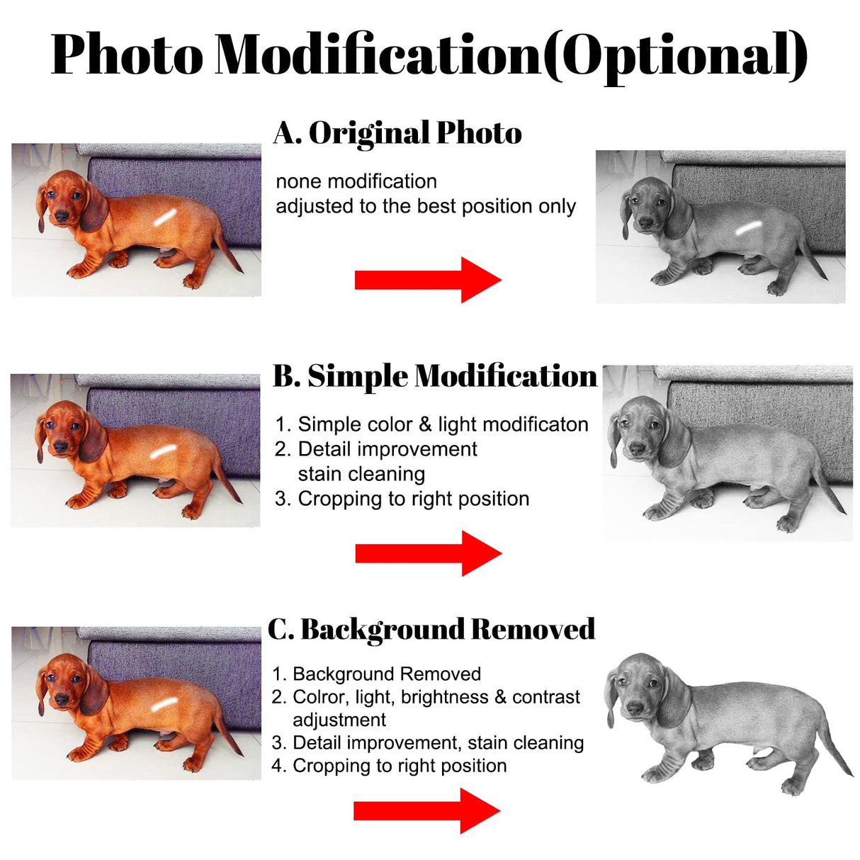 ODB Personalized Pet Memorial Stones, Black Granite Memorial Garden Stone Engraved with Photo, Gifts for Someone Who Lost a Loved One, or Pet, Dog, Cat (with Photo) ODB