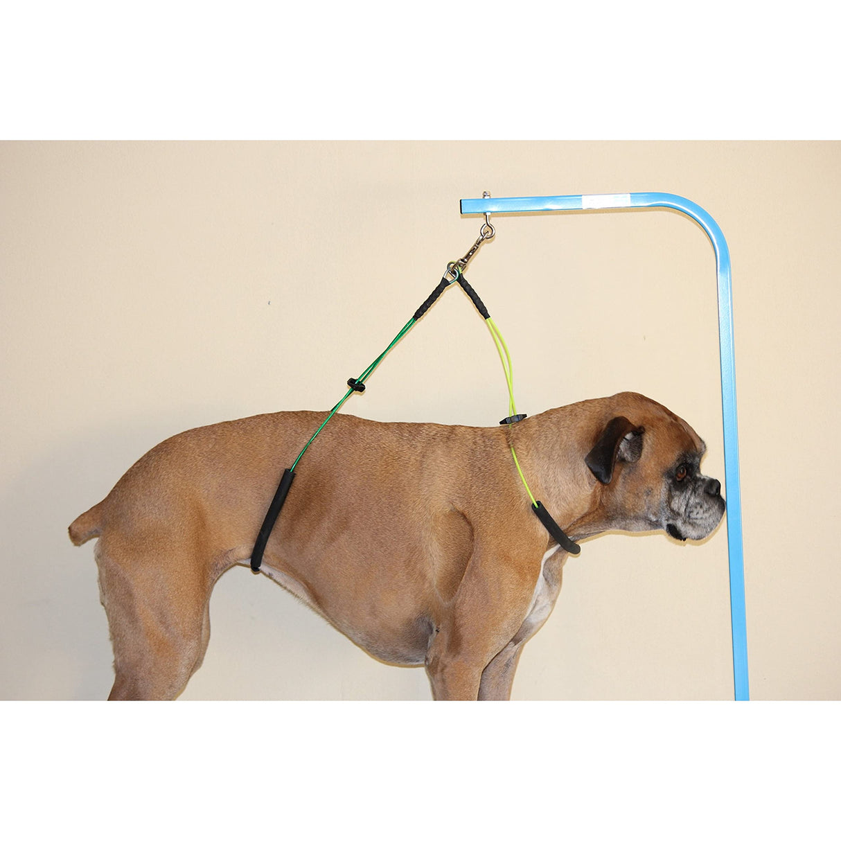 Downtown Pet Supply No Sit Haunch Holder for Dog Grooming Arm and Pet Grooming Table - Dog Grooming Supplies - Stainless Steel Hardware, Rust & Chew Resistant - 19 & 21in - Small/Medium (Haunch Only) Downtown Pet Supply