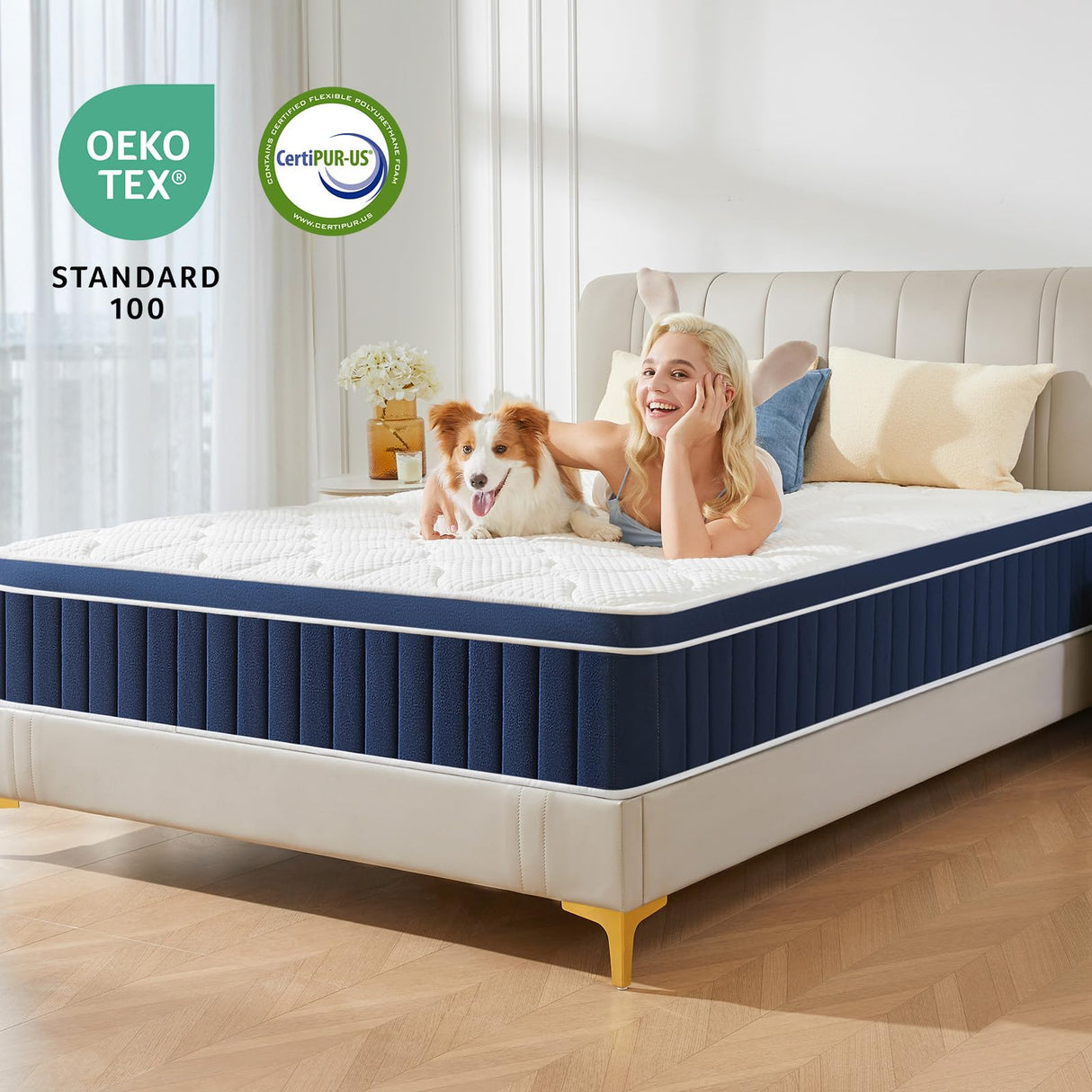 Rolanstar Queen Size Mattress, 10 Inch Foam Hybrid Mattress with Independent Spring, Medium Firm Mattress in a Box, Breathable and Pressure Relief, CertiPUR-US Rolanstar