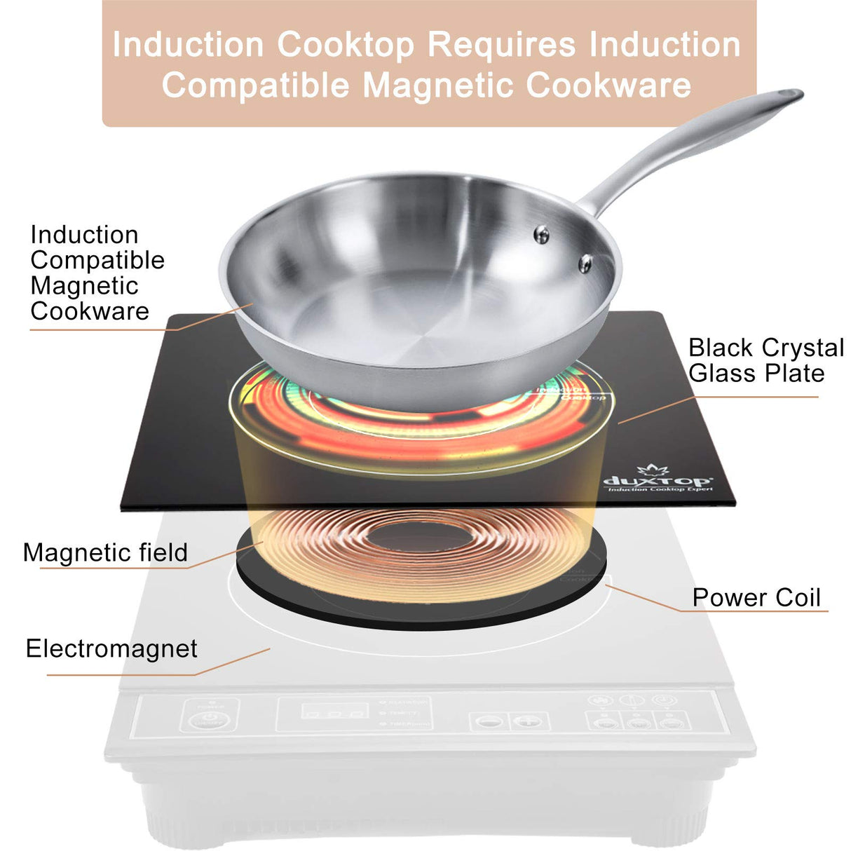 Duxtop 1800W Portable Induction Cooktop Countertop Burner, Gold 8100MC/BT-180G3 duxtop